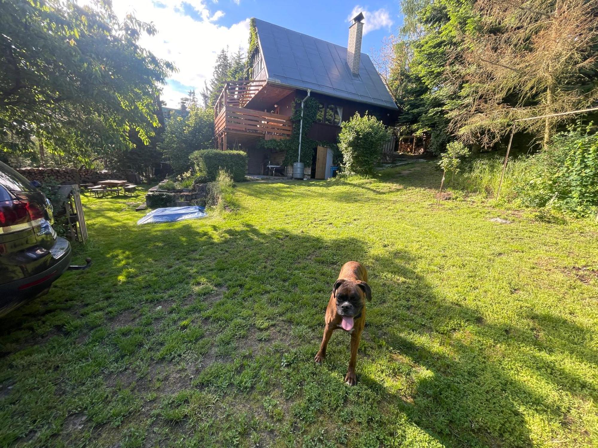 Chata Dagmar Trebic Bagian luar foto